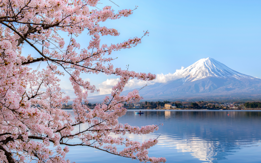 Nächster Halt: Japan – Dein Abenteuer wartet!